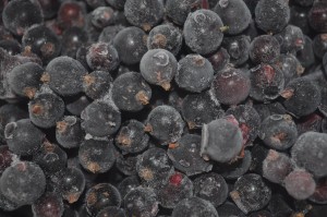 Frozen blackcurrants - a taste of summer 