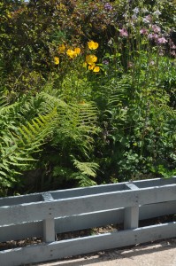 Using chopped up pallets to make borders in the garden (3)