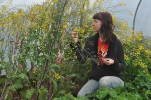 Me with my 'herd' of kale plants - they don't take up that much space