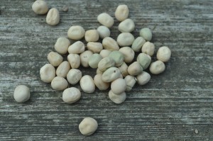 'Easy peasy' seed saving