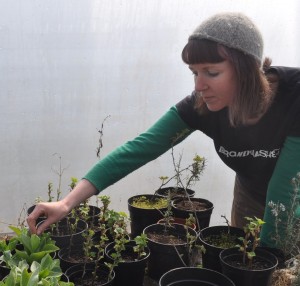 Kim with easy plants to take cuttings from (rosemary and soft fruits)... (3)