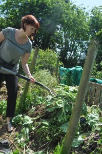 Woodchip can be added (as a brown layer) to your compost pile 